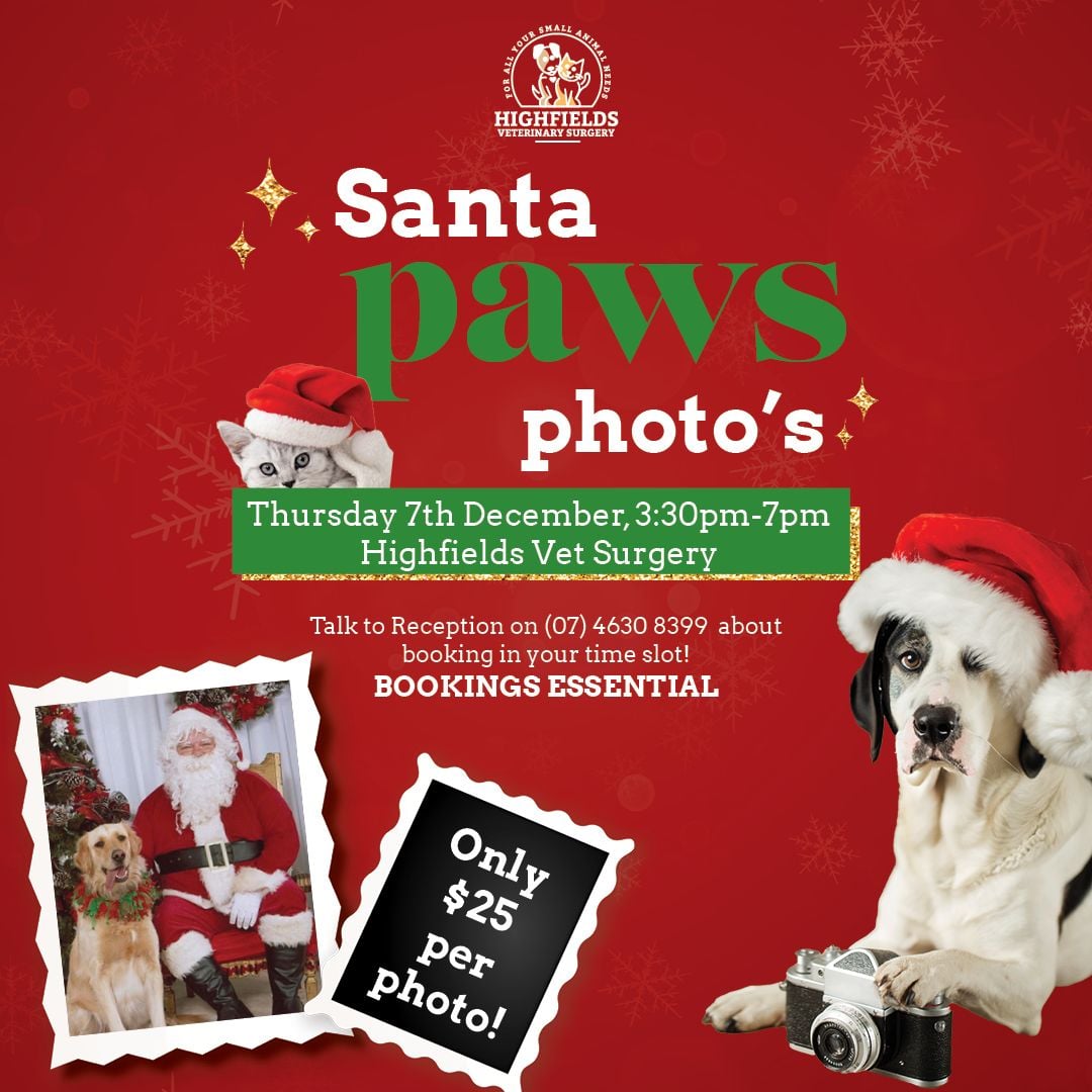 Santa Paws 2023 Santa Paws 2023